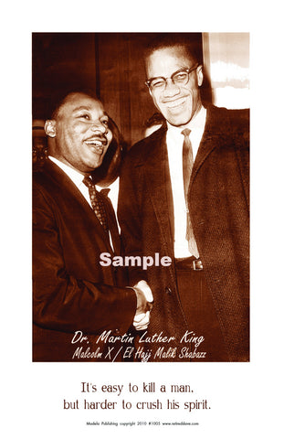 Dr. King and Malcolm X #1005