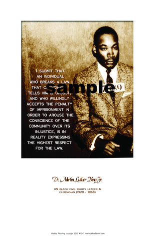   Dr. Martin Luther King Jr. #1343