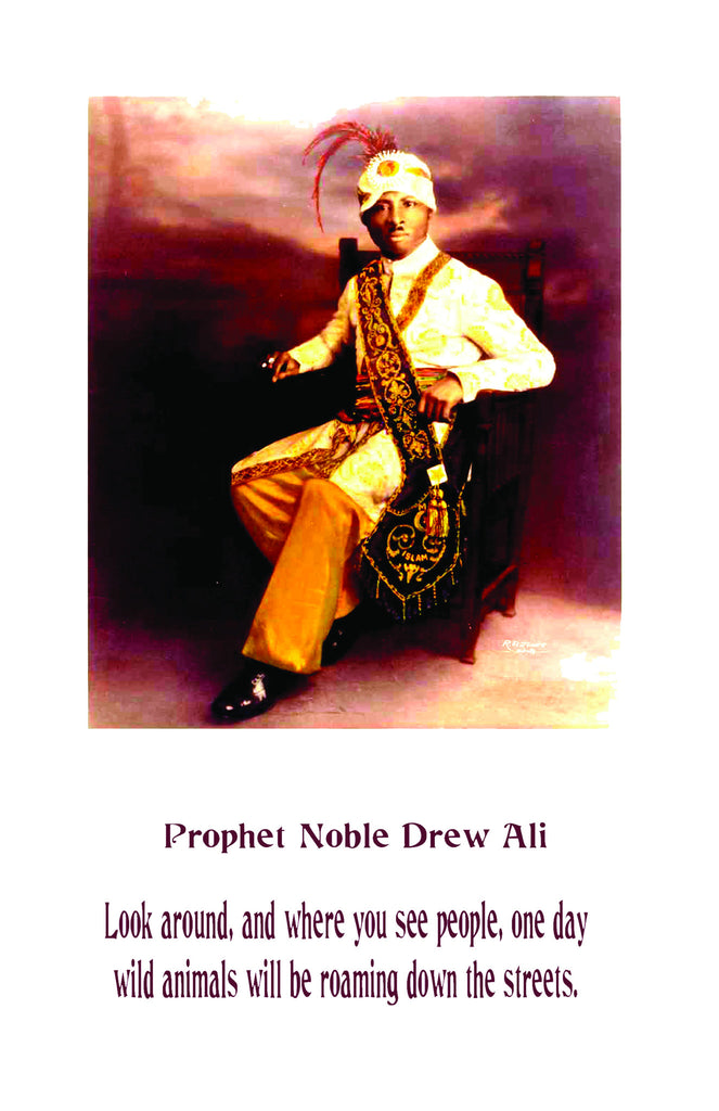 Noble Drew Ali #1391