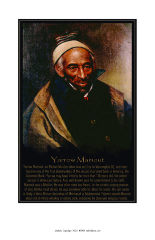 Yarrow Mamout #1007