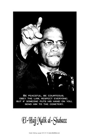 Malcolm X #1118