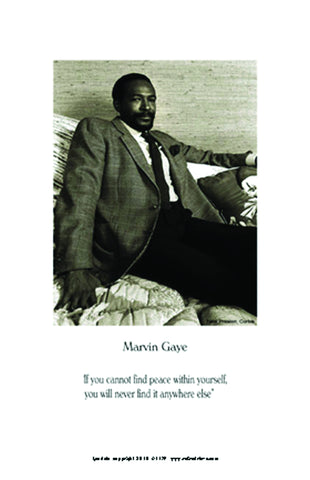 Marvin Gaye #1179