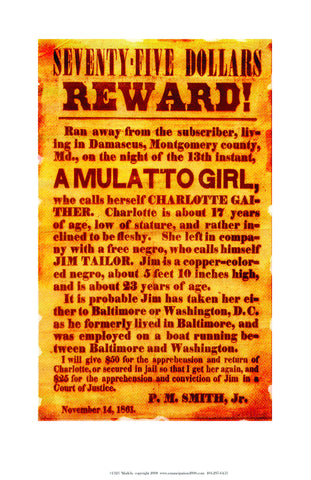 Mullatto girl #1323