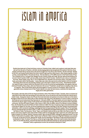 Islam in America #1534