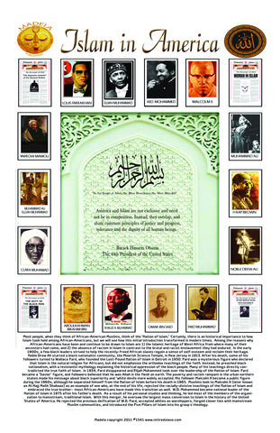 Islam in America #1541